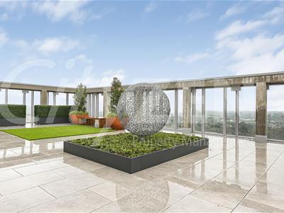 ROOF GARDEN